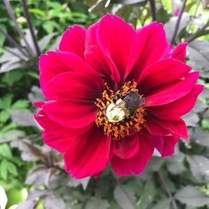 Meet your Posher, Lynda